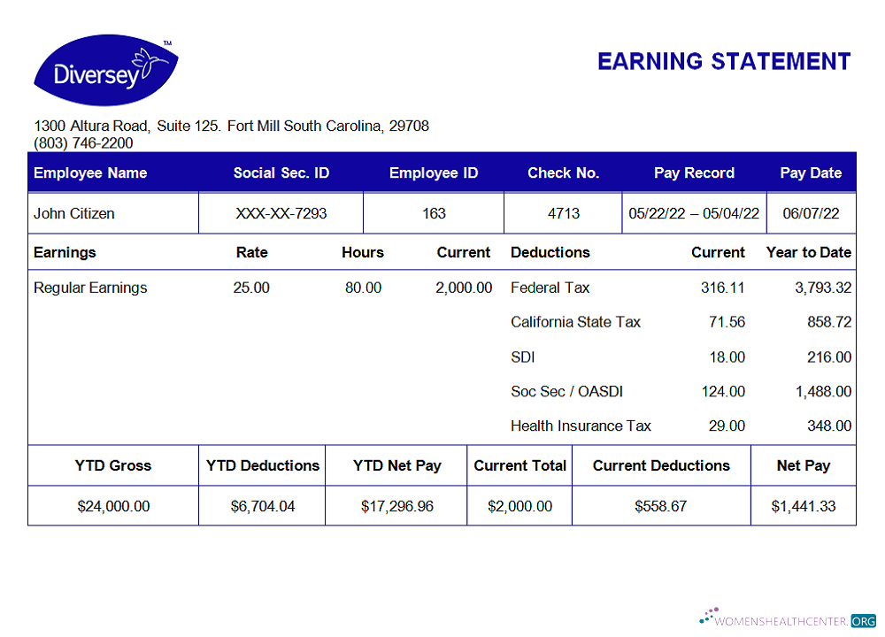 Download USA Diversey household goods company pay stub Photoshop template